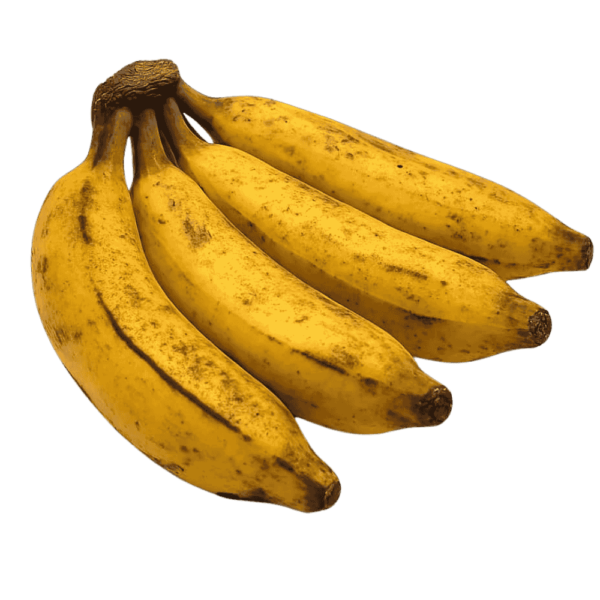 Platano Burro